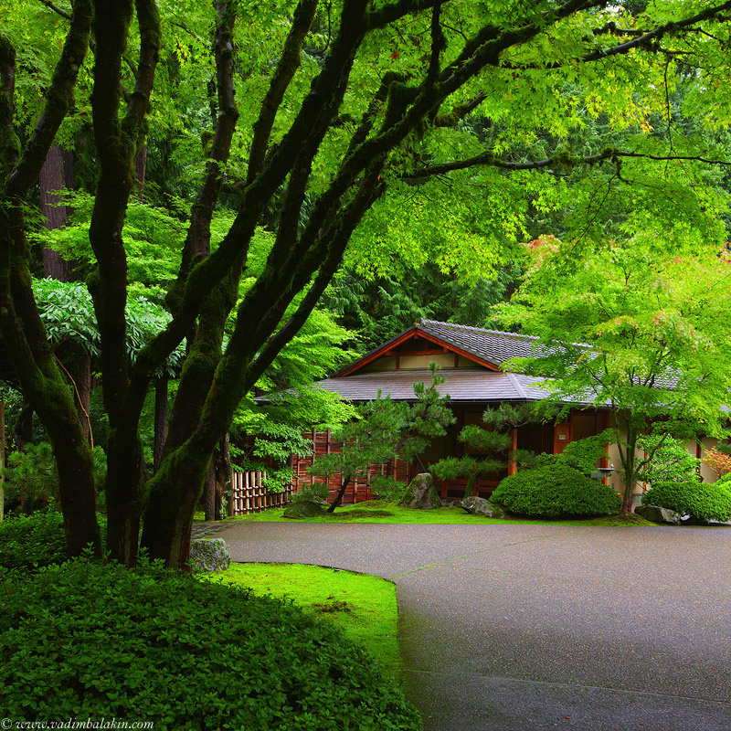 Японский Сад