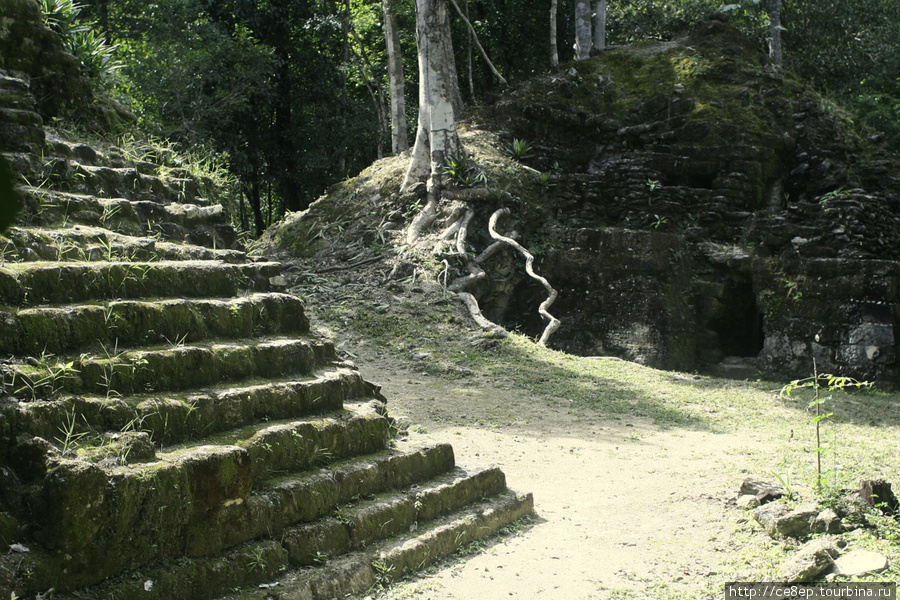 Что-то где-то кое-как откопано — так можно охарактеризовать общую кортину Департамент Петен, Гватемала