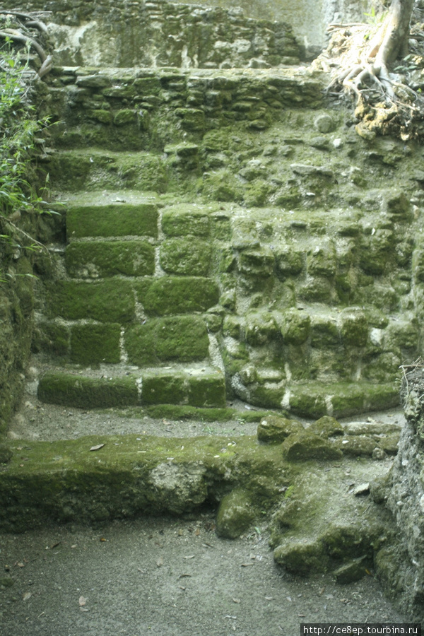Откопано, но не восстановлено Департамент Петен, Гватемала
