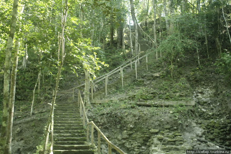 Временная деревянная лестница ведущая на Ла Данте — высочайшую пирамиду города. Родная закопана наглухо. Департамент Петен, Гватемала