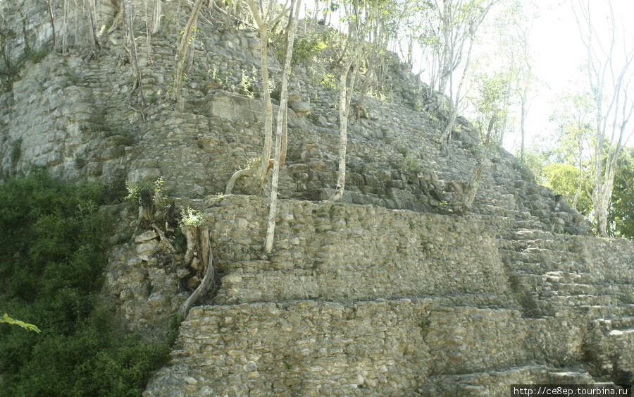 Под тысячелетним слоем Департамент Петен, Гватемала