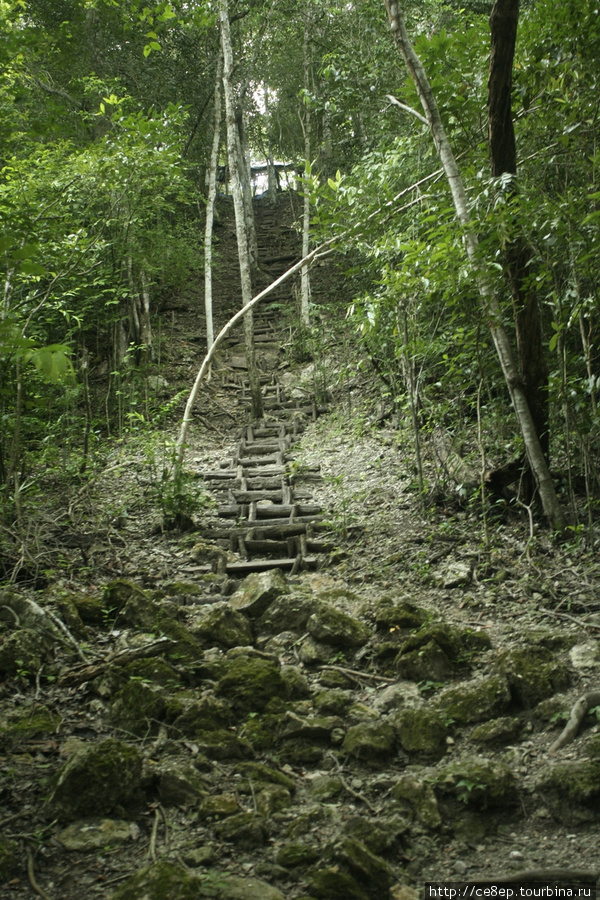 Подъем на Эль Тигра — другую пирамиду. Департамент Петен, Гватемала