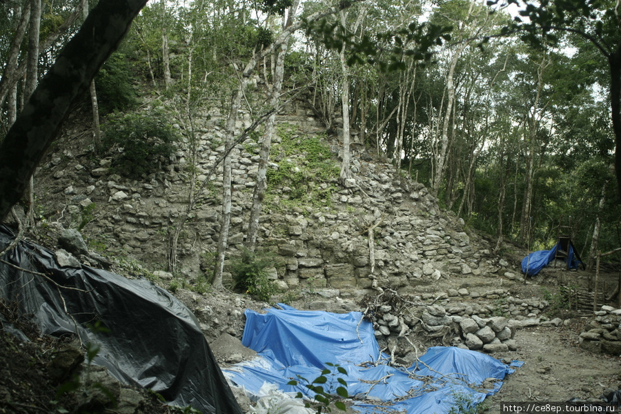 Копайте, Шура, копайте... Департамент Петен, Гватемала