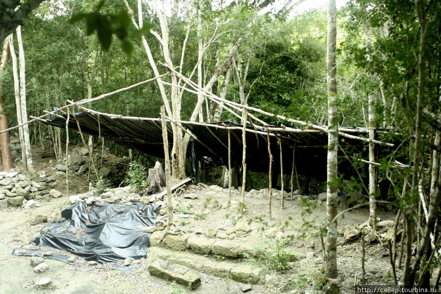 Никто не хочет копать Департамент Петен, Гватемала