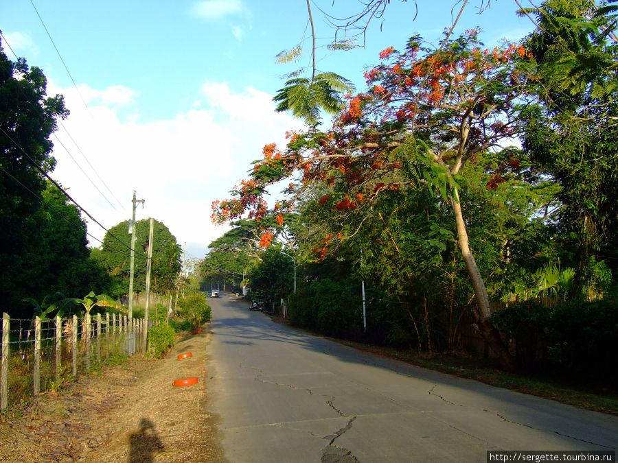 От одногорайона к другому дорога через зеленый массив Пуэрто-Принсеса, остров Палаван, Филиппины