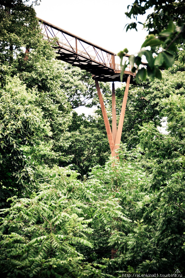 Xstrata Treetop Walkway in Kew Gardens Лондон, Великобритания