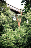Xstrata Treetop Walkway in Kew Gardens