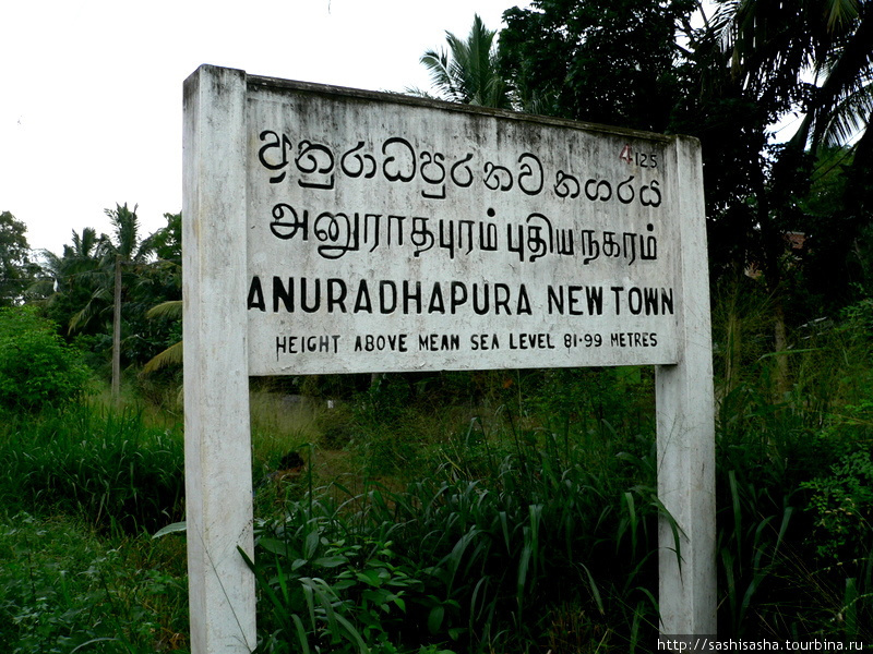 Как мы жили и ели в Анурадхапуре Анурадхапура, Шри-Ланка