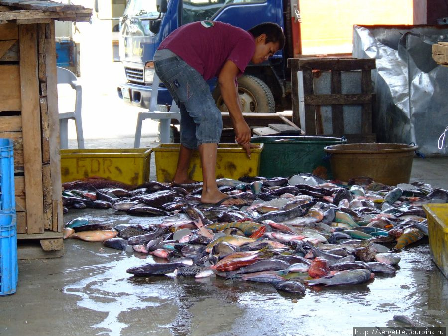 Приемщик рыбы Пуэрто-Принсеса, остров Палаван, Филиппины