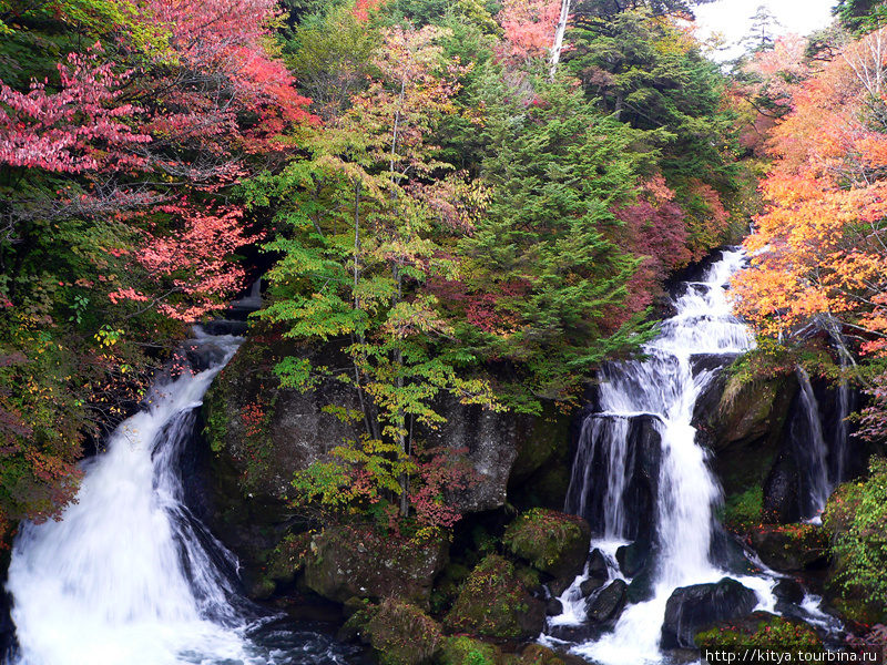 Никко в осенних тонах: водопад Рюзу Никко, Япония