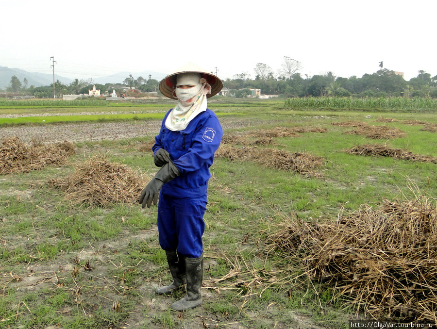 Труженица вьетнамских полей Провинция Сиемреап, Камбоджа