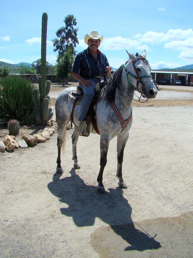 Младший брат текилы или вся правда о мескале Штат Оахака, Мексика