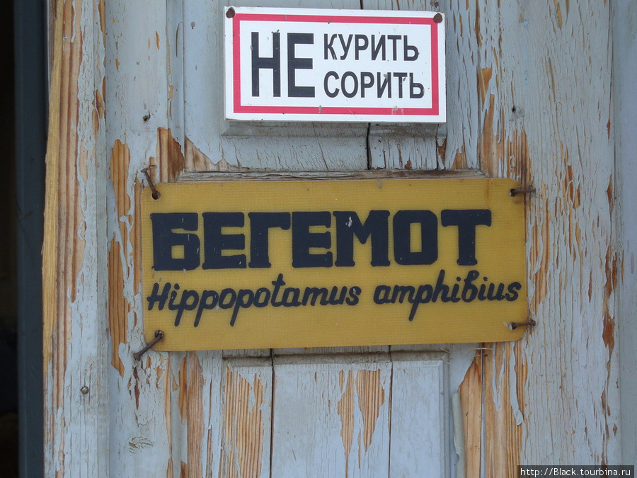 «Не курить, не сорить» подпись «бегемот» Харьков, Украина