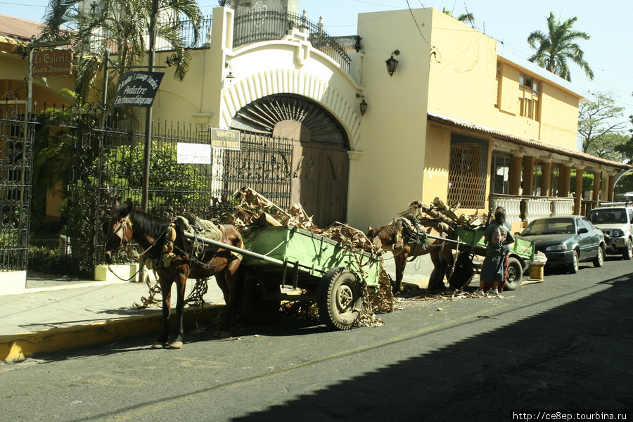 Лошади с тележками, в целом, частое явление на улицах Леона