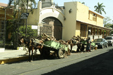 Лошади с тележками, в целом, частое явление на улицах Леона