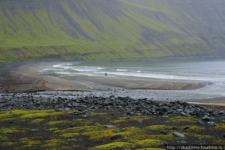 Свадебное путешествие в Исландию. День двенадцатый. Западные Фьорды, Исландия