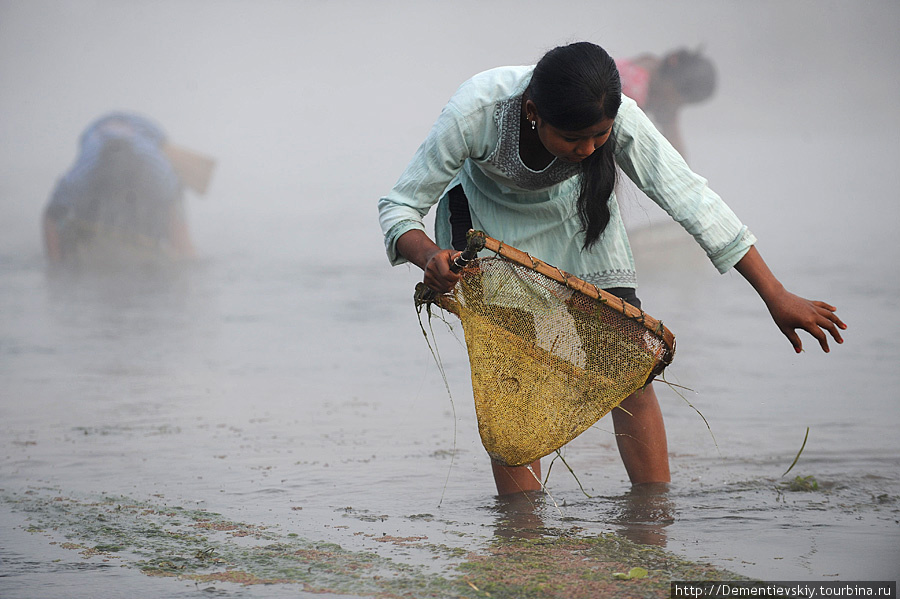 Как рыбачат женщины Непала. Непал