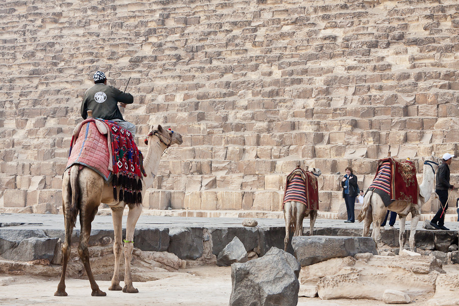 Верблюжатники Гиза, Египет