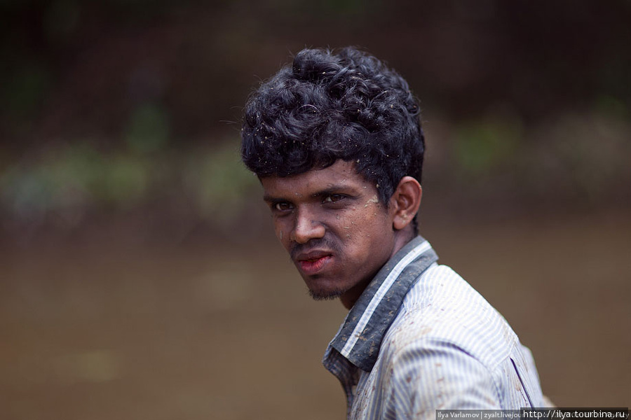 Люди Шри-Ланки Шри-Ланка