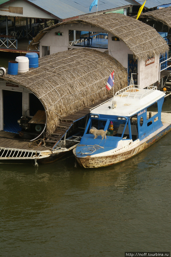 В этом месте Квай вполне судоходная. Буксиры управляемые собаками таскают плавучие рестораны: Канчанабури, Таиланд