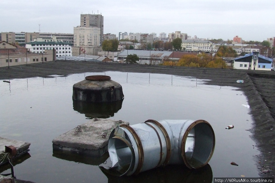 2008 Октябрь - Минск (Беларусь) кормили крыши и чаек Минск, Беларусь