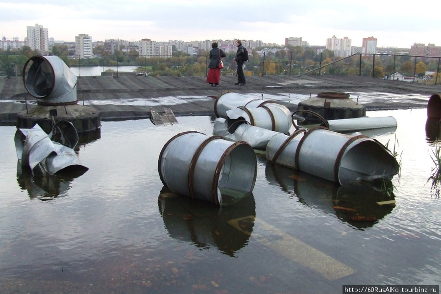 2008 Октябрь - Минск (Беларусь) кормили крыши и чаек Минск, Беларусь