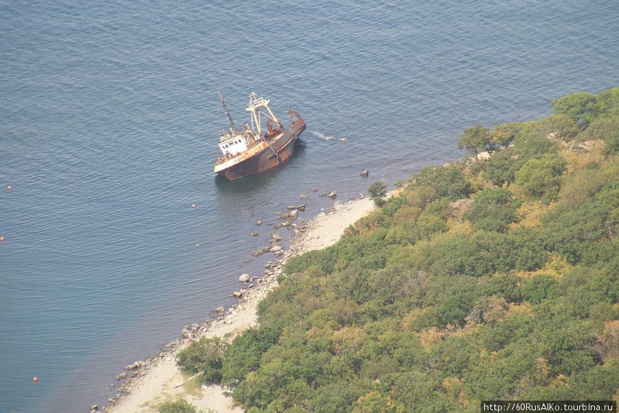 2008 Август — Анапа (Сукко) и Черное море с черепашками Сукко, Россия