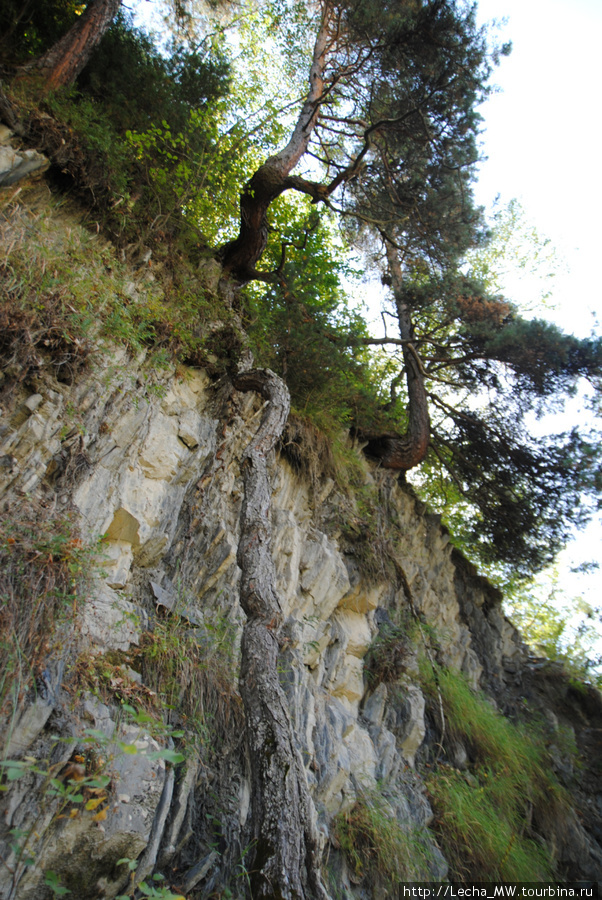 Около минерального источника Сба Урс-Туальское ущелье, Южная Осетия