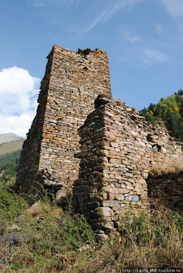Башни Дзукаевых  в селении Челиат Урс-Туальское ущелье, Южная Осетия