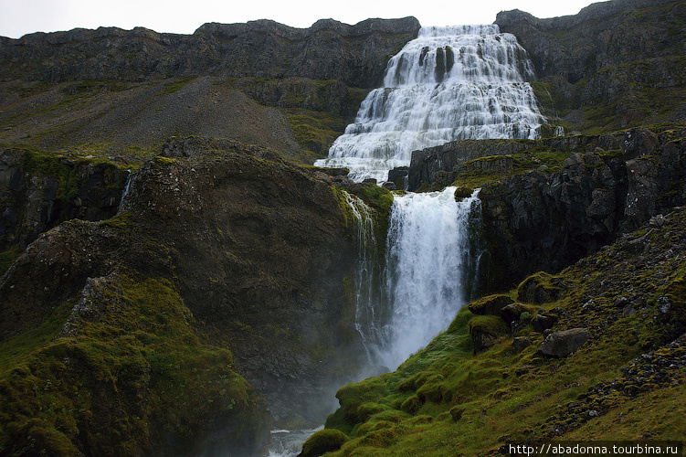 Свадебное путешествие в Исландию. День тринадцатый. Западные Фьорды, Исландия