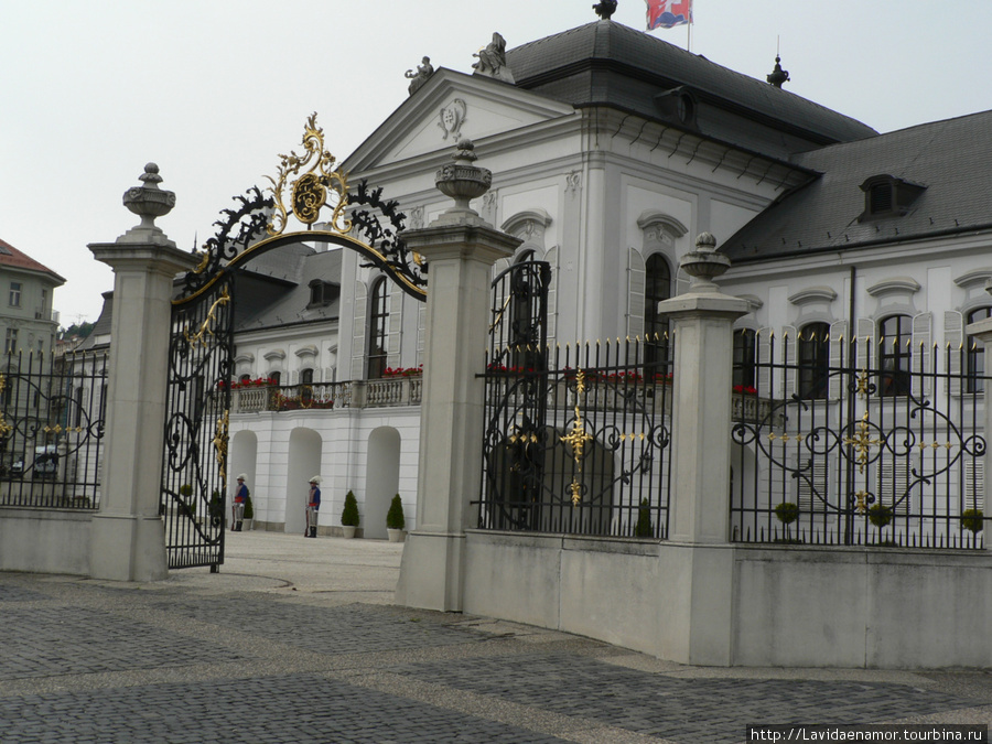 Бегом по Братиславе Братислава, Словакия