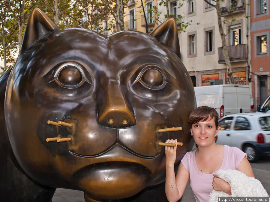 Равальский кот Барселона, Испания