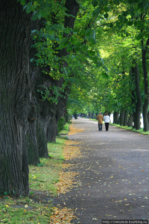 Городская геометрия Санкт-Петербург, Россия