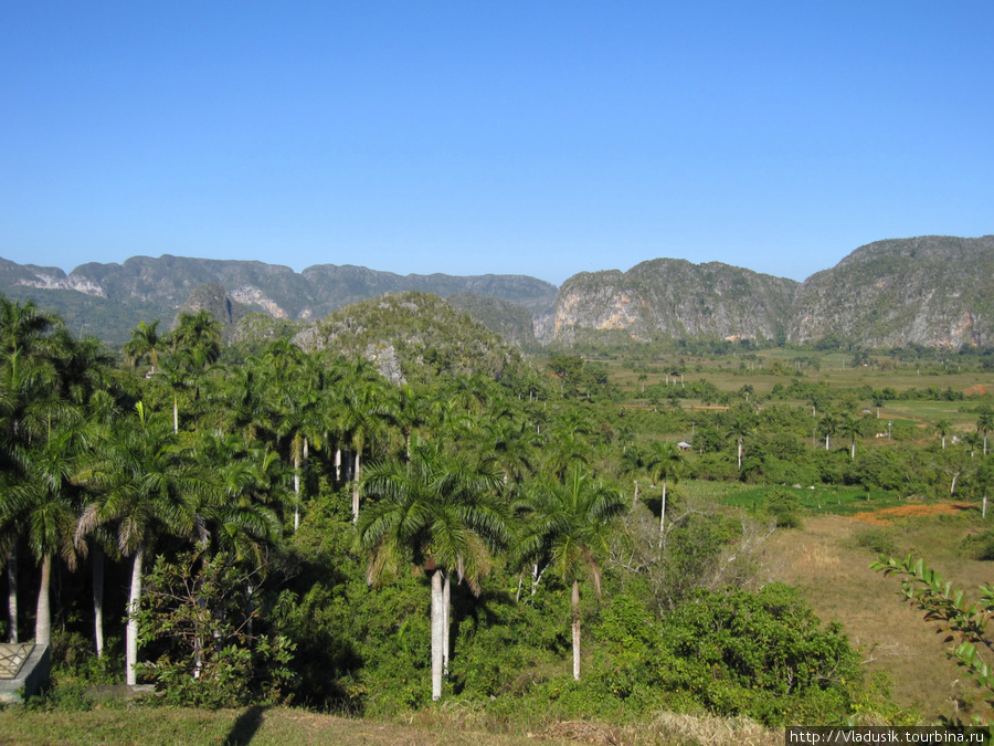 Моготе в долине Виньялес Виньялес, Куба