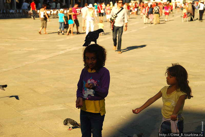 Площадь Сан-Марко и голуби. В этот раз людей больше чем голубей. Венеция, Италия