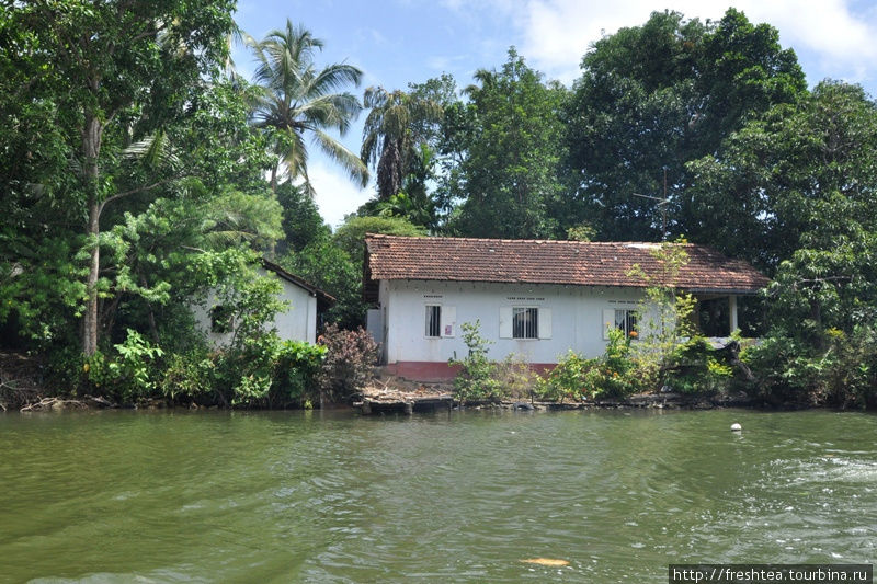 Свои дома ланкийцы строят прямо у кромки воды.
Увы, с подъемом воды во время муссонных ливней на несколько метров эти постройки часто подтапливает. Шри-Ланка