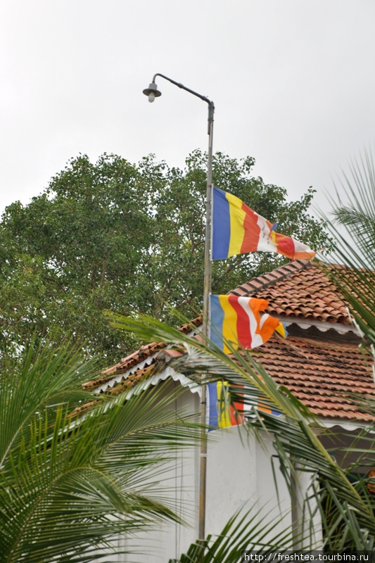 Нынешний монастырь основан в 1860-е годы.
Теперь здесь есть и электричество, и радио.
А над островом, как и положено, реют полосатые буддистские флаги. Шри-Ланка