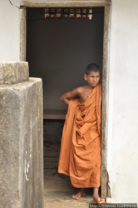 Один из мальчиков-монахов, в соответствии с учением Тхеравады (направление в буддизме, наз. Узкая колесницая / Узкий путь) отданный родителями на обучение в общину. Шри-Ланка