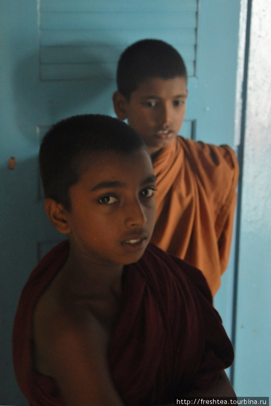 Эти парни 11-12 лет постигают вечные ценности буддизма, ежедневно занимаясь со своими учителями.
При этом они говорят на сингальском и английском.
Экскурсии тоже водят на английском и успешно с этим справляются. Шри-Ланка