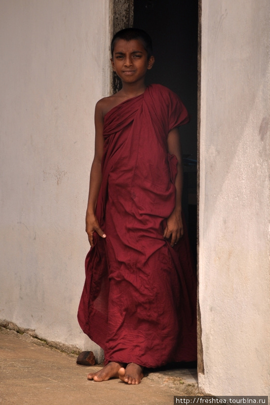 Монахи в лесных монастырях, наиболее строгие последователи учения, часто носят не ярко-оранжевые одежды, а пурпурные или бордовые, как у этого паренька. Шри-Ланка