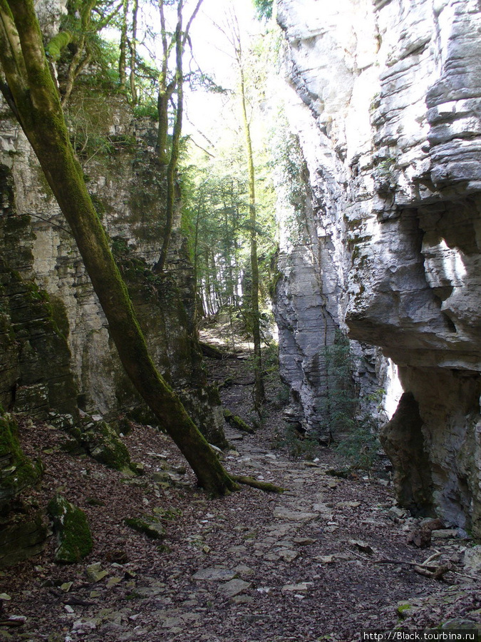 Каменная сказка Сочи, Россия