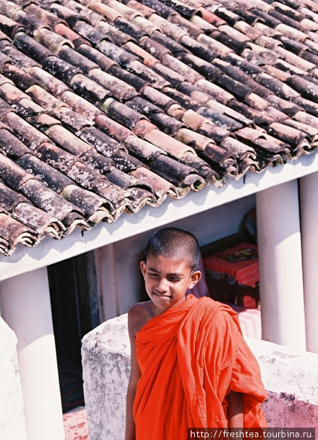 Фото этого мальчика-монаха я сделала в один из прошлых визитов в этот монастырь, в 2005 году. Шри-Ланка
