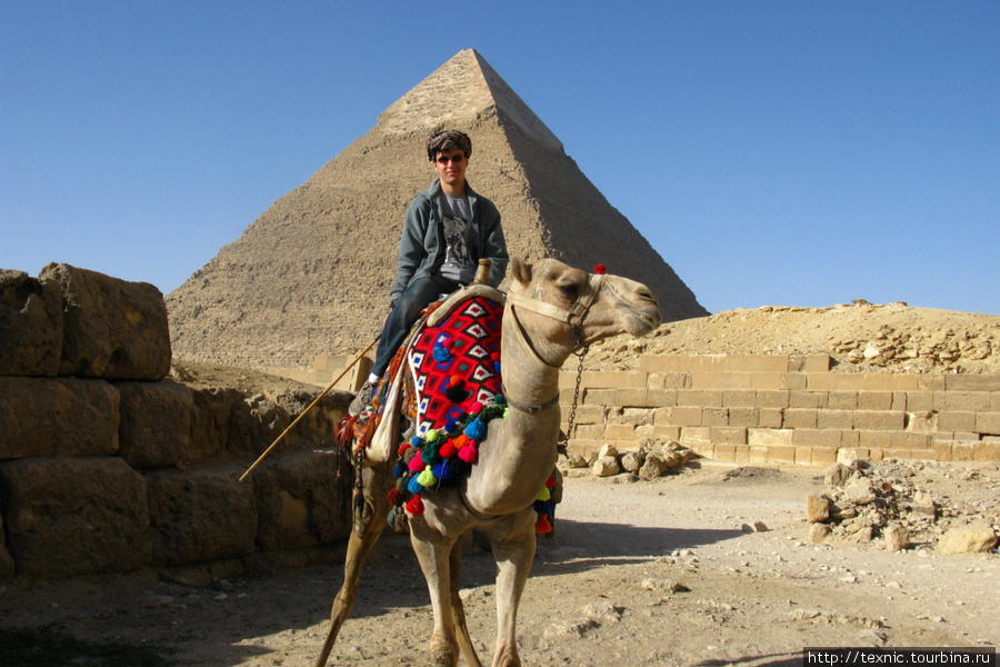 Как я не отпирался, меня затащили на верх верблюда Каир, Египет