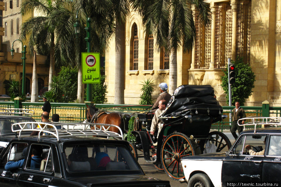 Для туристов есть и такой транспорт, можно почувствовать себя английским джентльменом Каир, Египет