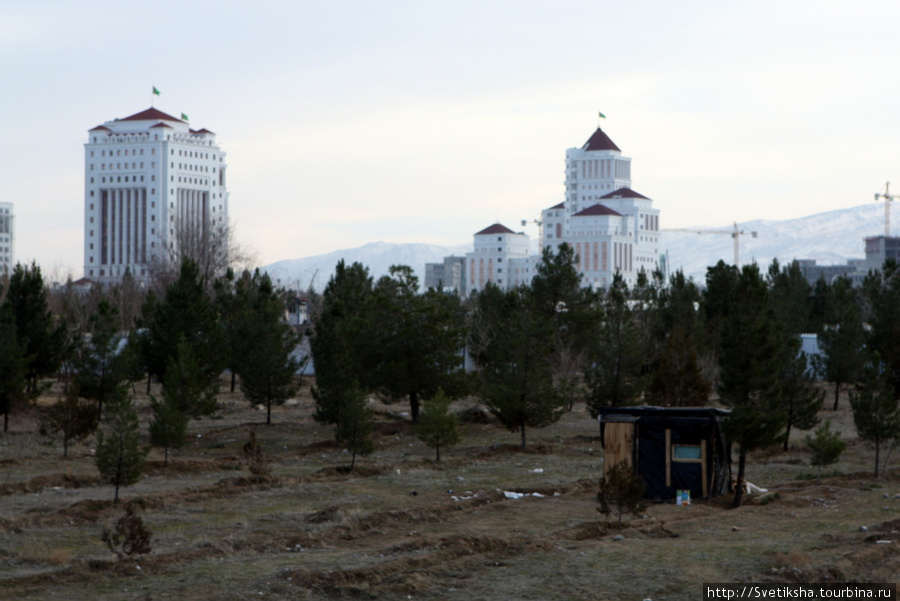 Пятиножка Ашхабад, Туркмения