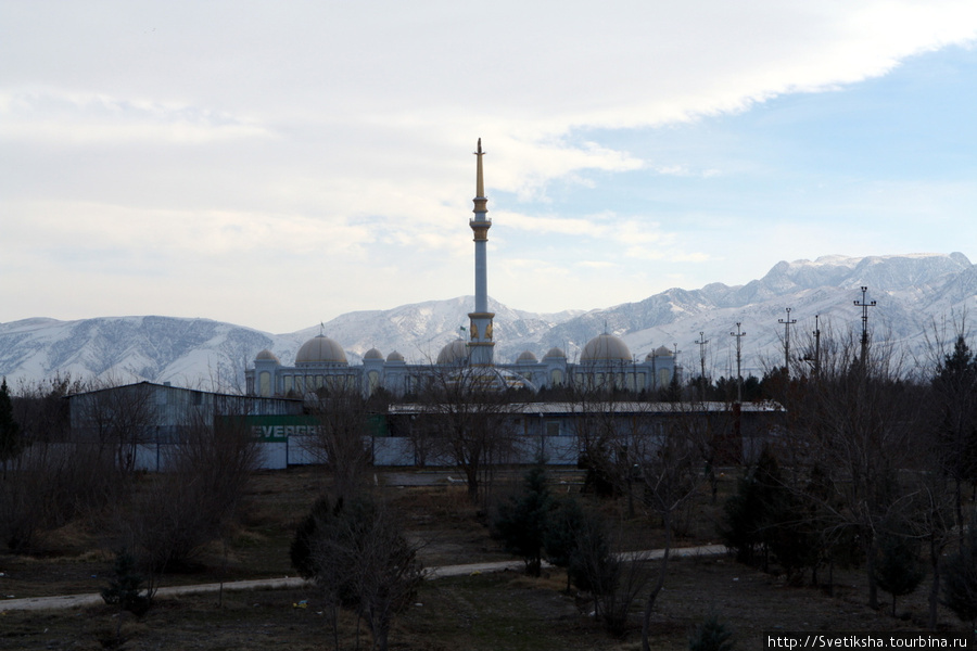 Пятиножка Ашхабад, Туркмения