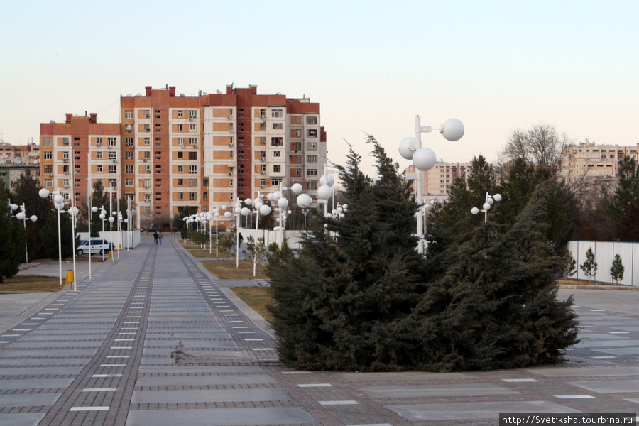 Пятиножка Ашхабад, Туркмения