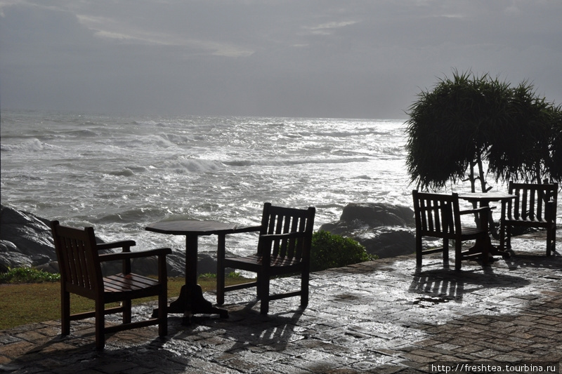 Побрызгал дождь — и вроде угомонился. Чего не скажешь об океане: он у побережья Галле редко бывает кротким. Шри-Ланка