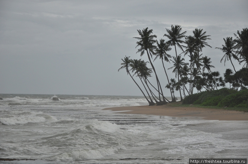 Мне  от волны тоже пару раз досталось — окатило, и снова вода по пяточки )) Шри-Ланка