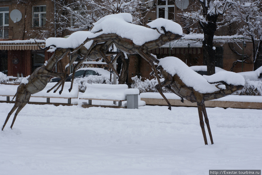 Долгожданный снег за 2 года! Ереван, Армения